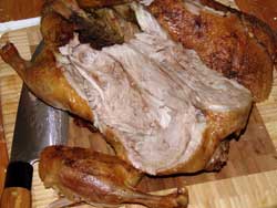 Christmas Duck