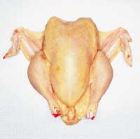 chicken